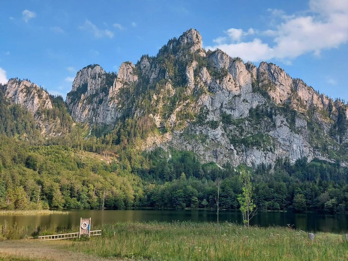 Neues Traunsee Apartment Altmünster エクステリア 写真