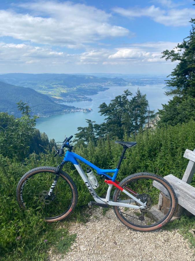 Neues Traunsee Apartment Altmünster エクステリア 写真